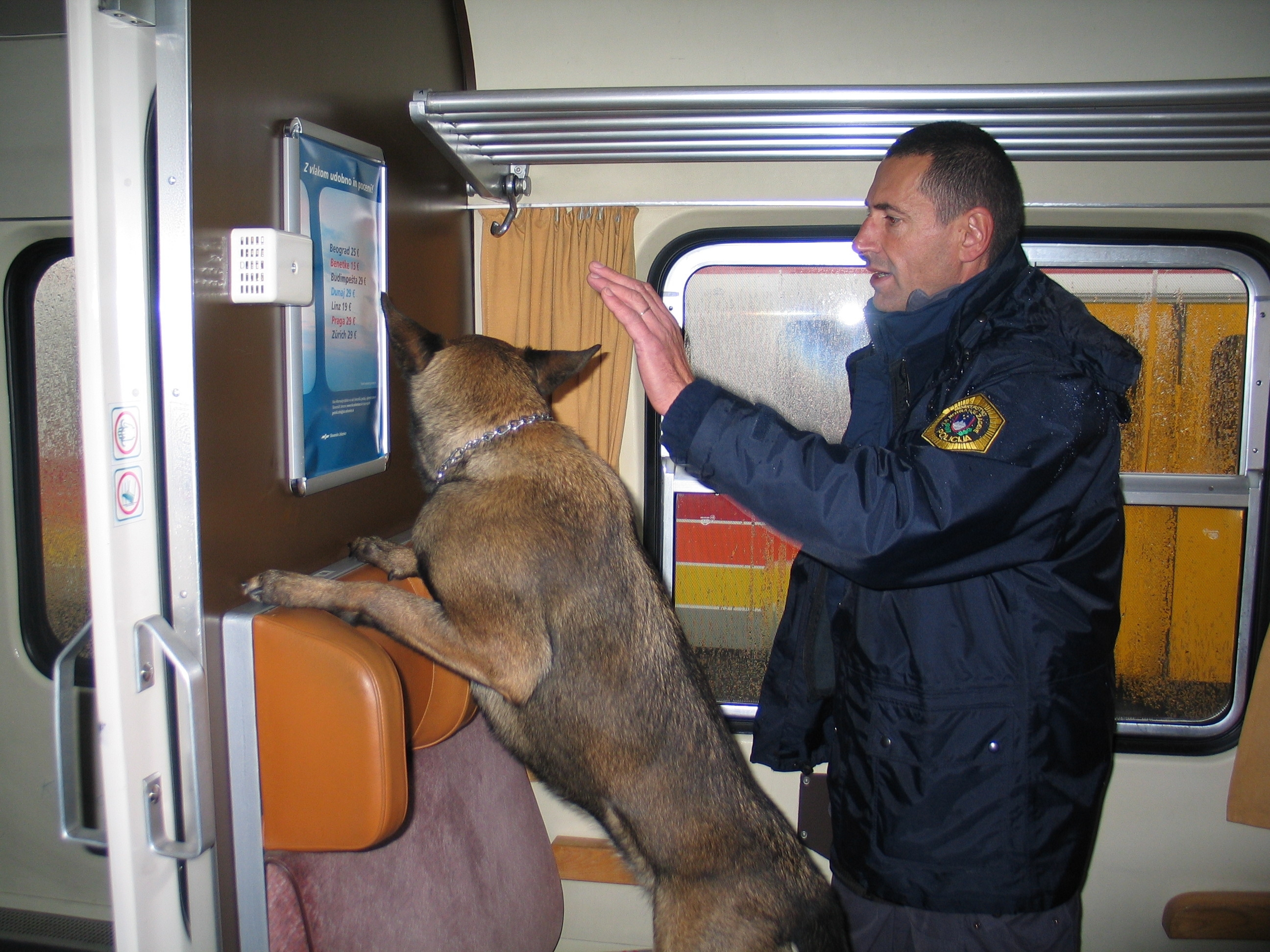 Police officer with dog practice and drill on train